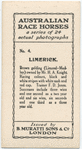 Limerick. Trainer  F.D. Jones.