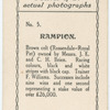 Rampion. Trainer F. Williams.