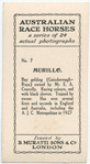 Murillo. Trained by owner, Mr. E.A. Connolly.
