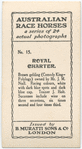 Royal Charter. Trainer J. Holt.