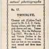 Trivalve. Trainer J. Scobie.