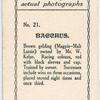 Bacchus. Trained by owner, Mr. W. Kelso.