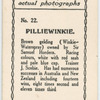 Pilliewinkie. Trainer J. Scobie.