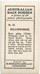Pilliewinkie. Trainer J. Scobie.