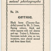 Gothic. Trainer L. Robertson.