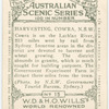 Harvesting, Cowra.