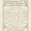 River Yarra, Healesville, Victoria.