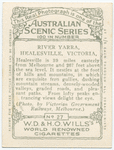River Yarra, Healesville, Victoria.