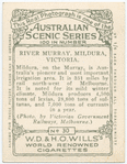River Murray, Mildura, Victoria.