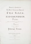 Eidodendron