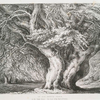 An old beech tree at the Oaks Surry : The seat of the Earl of Derby.