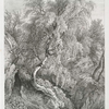Birch, in the grounds of Swinton Park, Yorkshire: Seat of W. Danby Esqr.