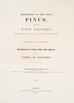 A description of the genus Pinus