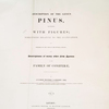 A description of the genus Pinus