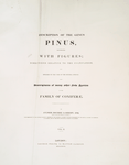 A description of the genus Pinus