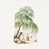 Cupressus pendula (under the tree a man is kneeling down)