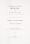 A description of the genus Pinus