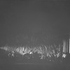 Scene in a palmetto jungle. "Porgy", NYC: Guild Theatre, 1927.