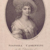 Signora Casentini