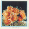 Live Coral Polyps.