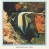 Moorish Idol Fish.