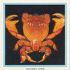 Spanner Crab.