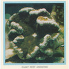 Giant Reef Anemone.