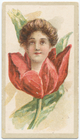 Index