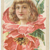 Beauties (flower girls)