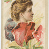 Beauties (flower girls)