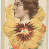 Beauties (flower girls)