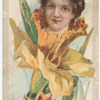 Beauties (flower girls)