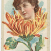 Beauties (flower girls)