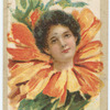 Beauties (flower girls)