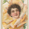 Beauties (flower girls)