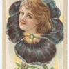 Beauties (flower girls)