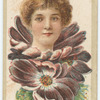 Beauties (flower girls)