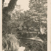 Kimberley Park, Falmouth, Cornwall.