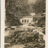 Glen Lyn, Lynmouth.