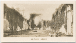 Netley Abbey.