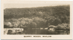Quarry Woods, Marlow.
