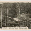 Bush Homestead, Taranaki.