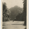 Wanganui River.