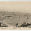 Wellington about the year 1845.