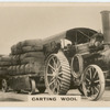 Carting wool.