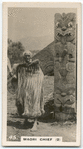 Maori Chief (2).