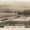 Fruit lands, Otago.