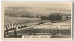 Fruit lands, Otago.