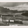 Ben Loyal.