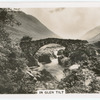 In Glen Tilt.